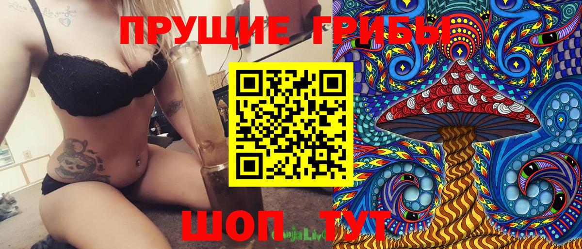 Псилоцибиновые грибы Psilocybine cubensis  продажа наркотиков  Псилоцибиновые грибы прущие грибы  Бузулук  Вход с VPN 